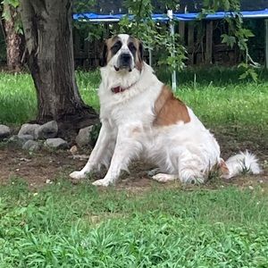 Meet your Posher, Ben